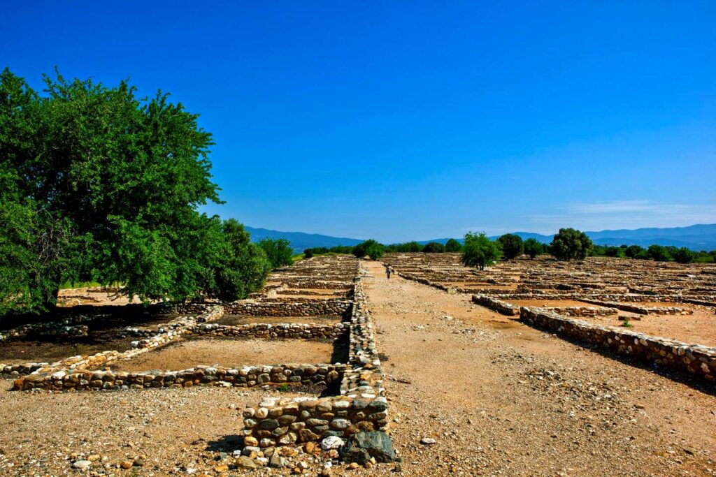 Εικόνα εξωφύλλου καταχώρησης